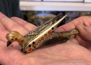 Luftwaffe penknife of Hauptmann Heinz Wagner