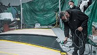 The dark green upper wing areas being sprayed by Julian.
